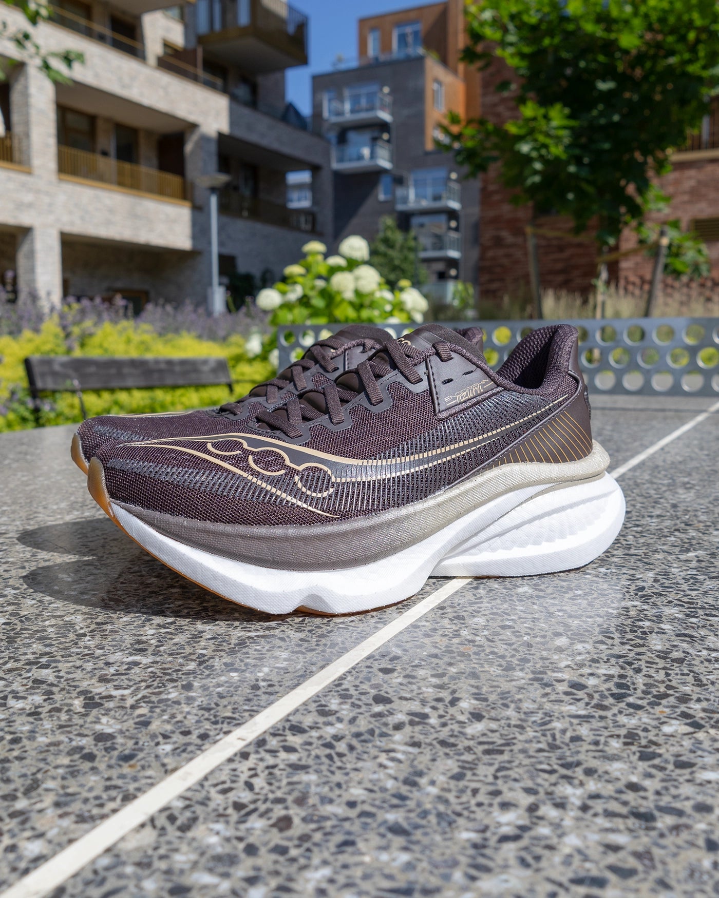 Saucony Endorphin Azura Torte Dame