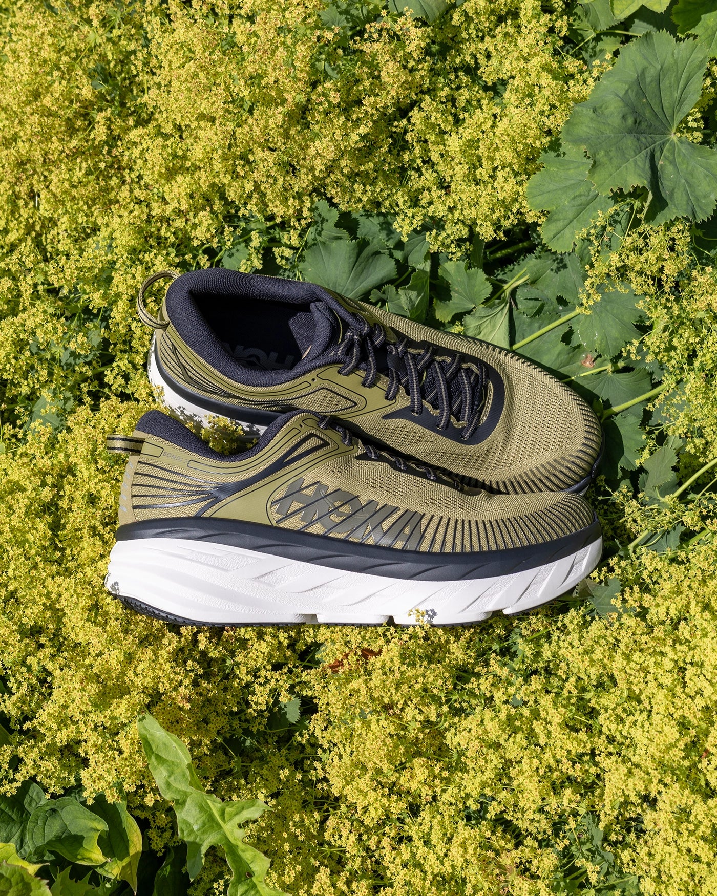 Hoka Bondi 7 Wild Rye / Black Herre